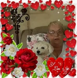 Meet your Posher, Anne